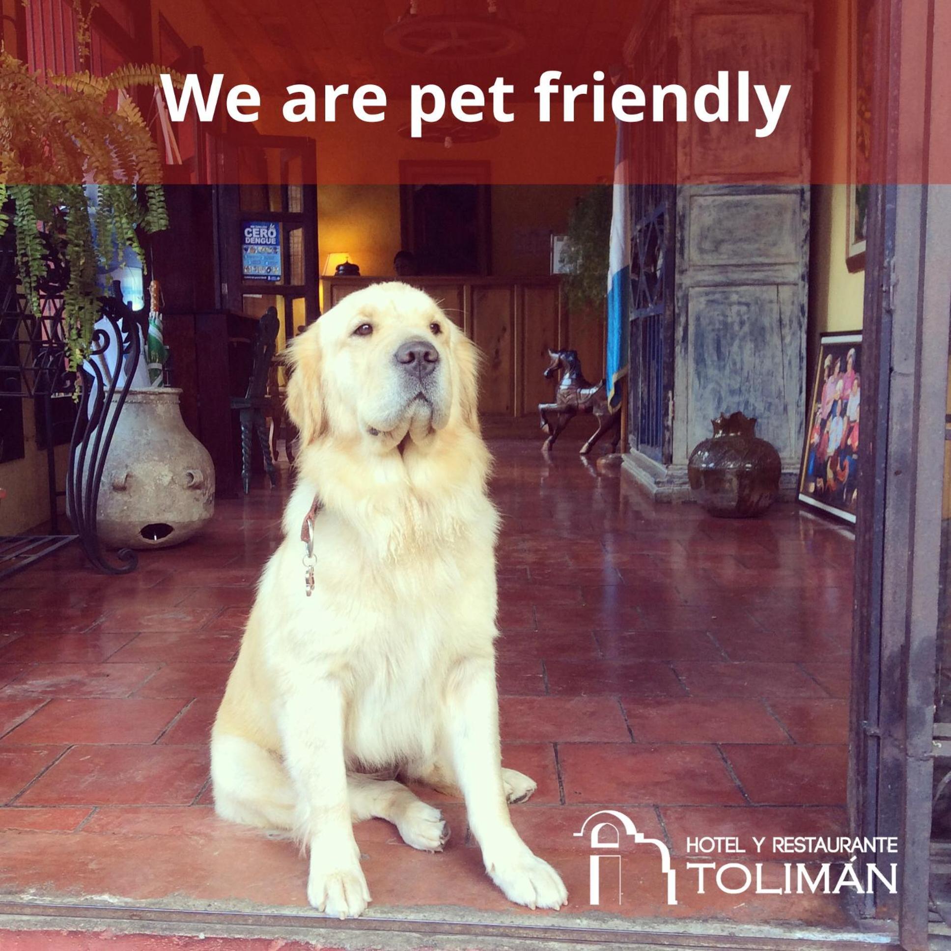 Hotel Toliman San Lucas Tolimán Εξωτερικό φωτογραφία